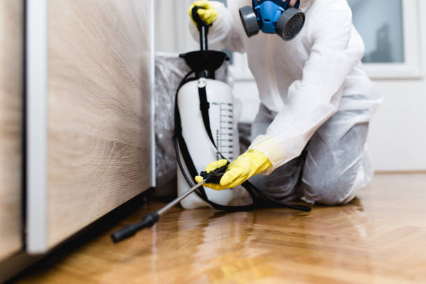 Pest Control Cost in Rochester, IL