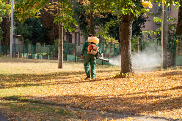 Best Pest Prevention Services  in Rochester, IL